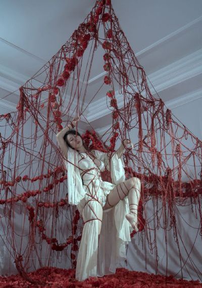 完美世界动漫樱花_超清免费在线观看
